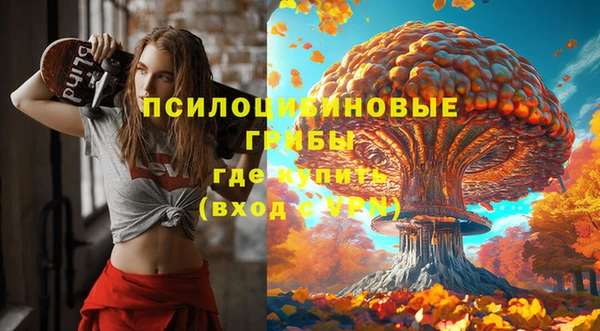 первитин Володарск