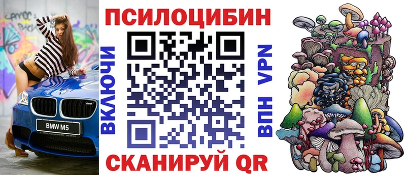 Галлюциногенные грибы Psilocybe  цена наркотик  это официальный сайт  Глазов 